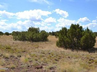 Supancheck Rd #23, Show Low, AZ 85901