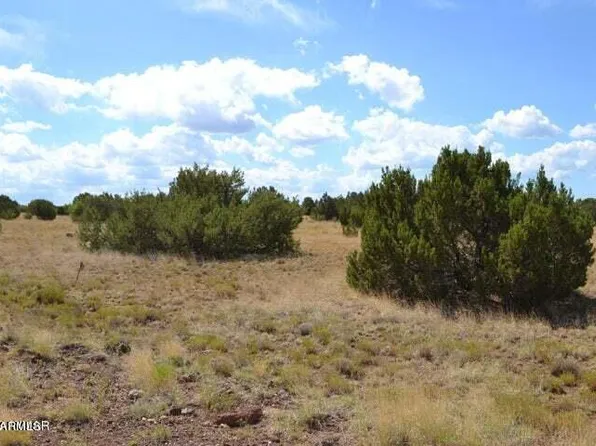 TBD Supancheck Road #23, White Mountain Lake, AZ 85912