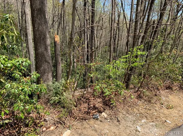 31 Beech Ct, Cashiers, NC 28774