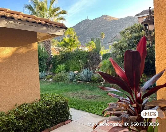 21631 Calle Prima — Photo 1