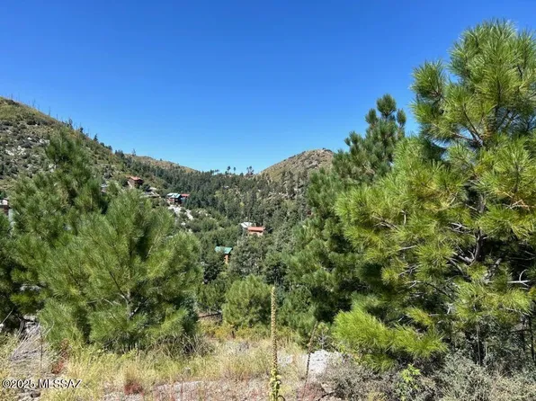 12802 N Ray Ave Unit 12/17, Mount Lemmon, AZ 85619
