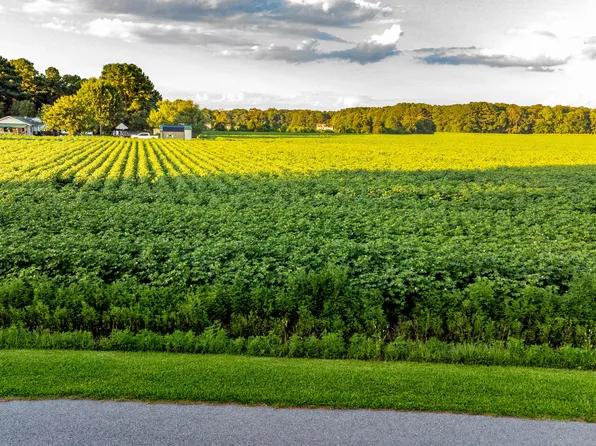 Tbd Whitehat Road, Hertford, NC 27944