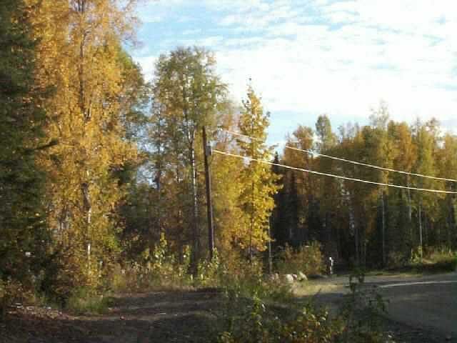 2nd image of 49223 S Silver Salmon Dr