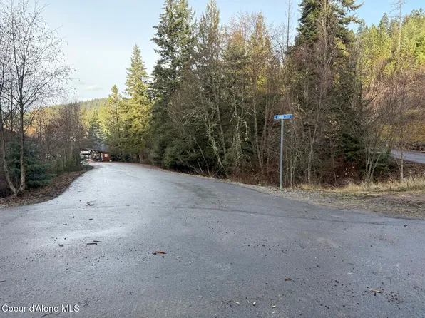 Flying Eagle Dr Lot 4, Harrison, ID 83833