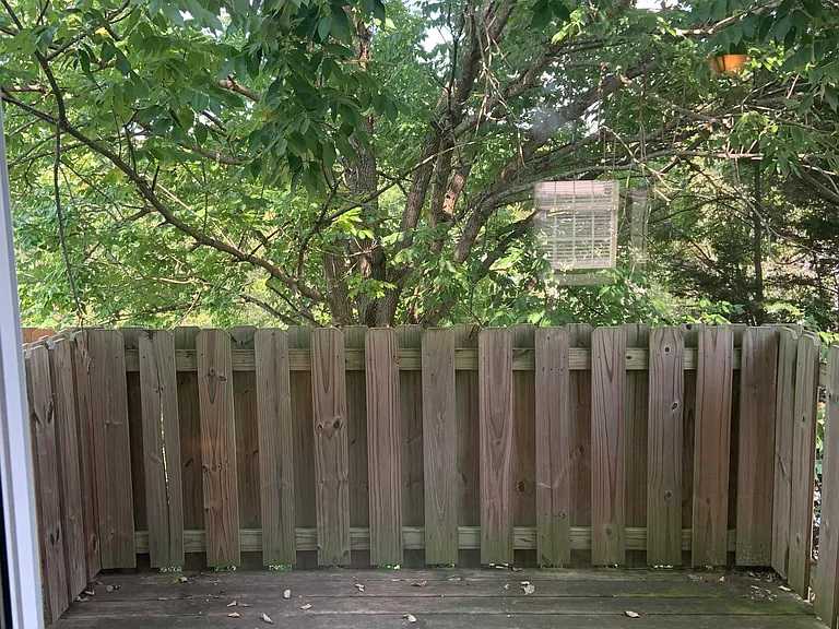 654 Lex Dr — Photo 11