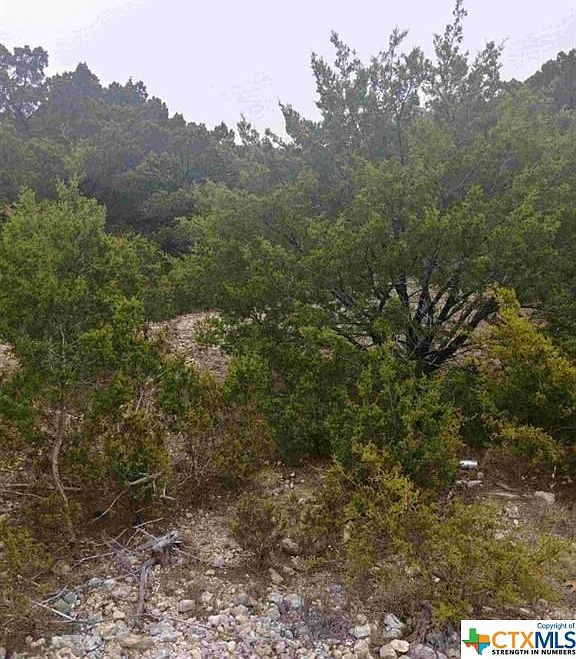 2nd image of 0 County Road 3384