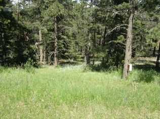 11853 Lillis Ln, Golden, CO 80403