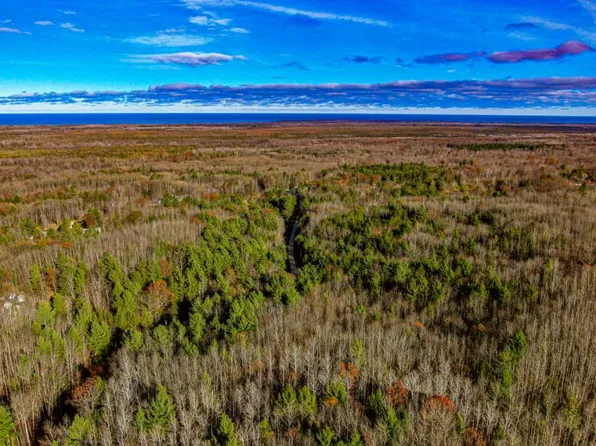 2481 Forest Hills Dr, Spruce, MI 48762