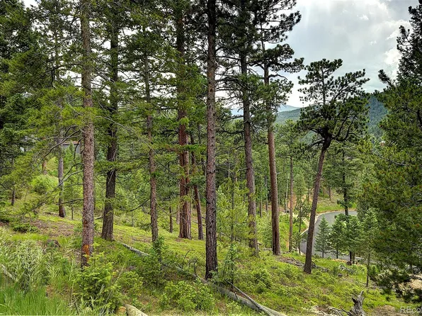 6875 Lynx Lair Road LOT 56-60, Evergreen, CO 80439
