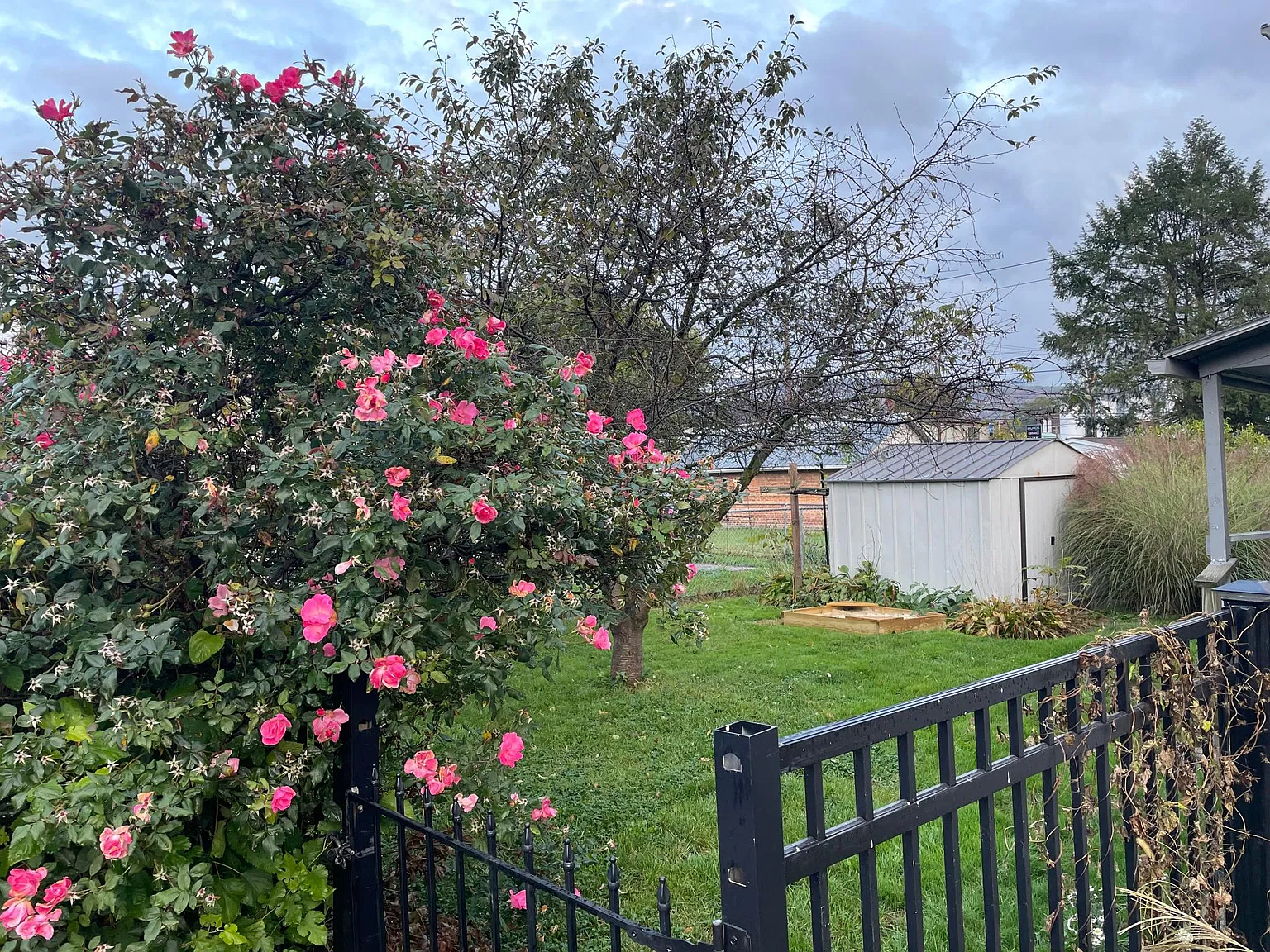 2 bed, 728 sqft, $1,200 — Photo 3