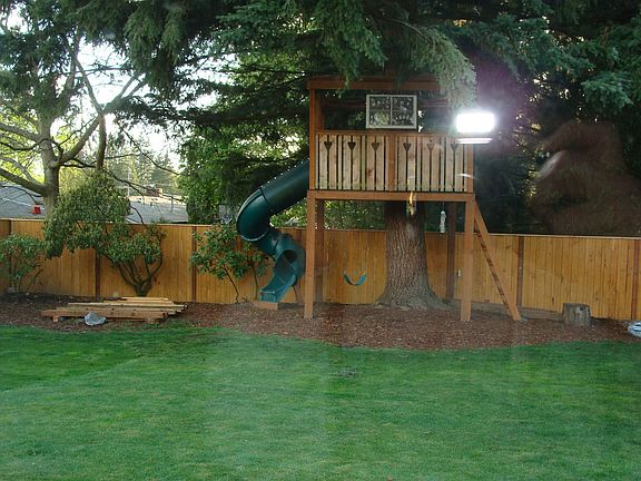 Backyard, treehouse