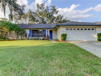 6209 Spring Oak Ct, Tampa, FL, 33625