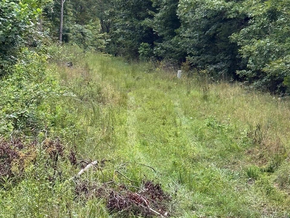 2nd image of 0 Tatum Gulf Rd