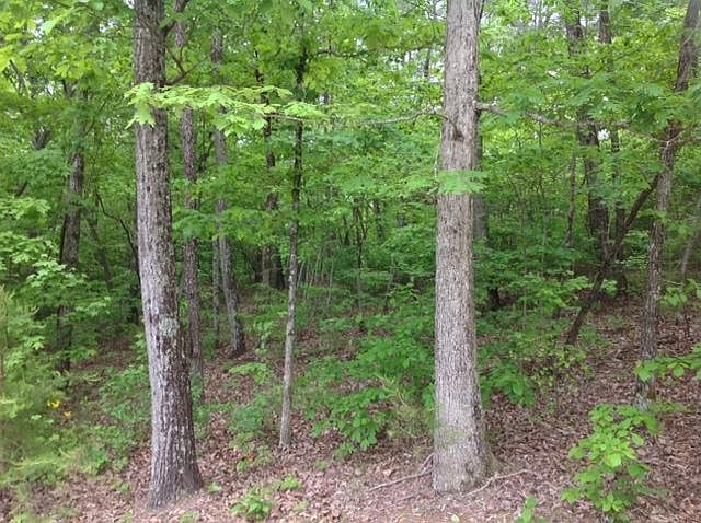 1st image of 20 Duckwood Ln Lot 20