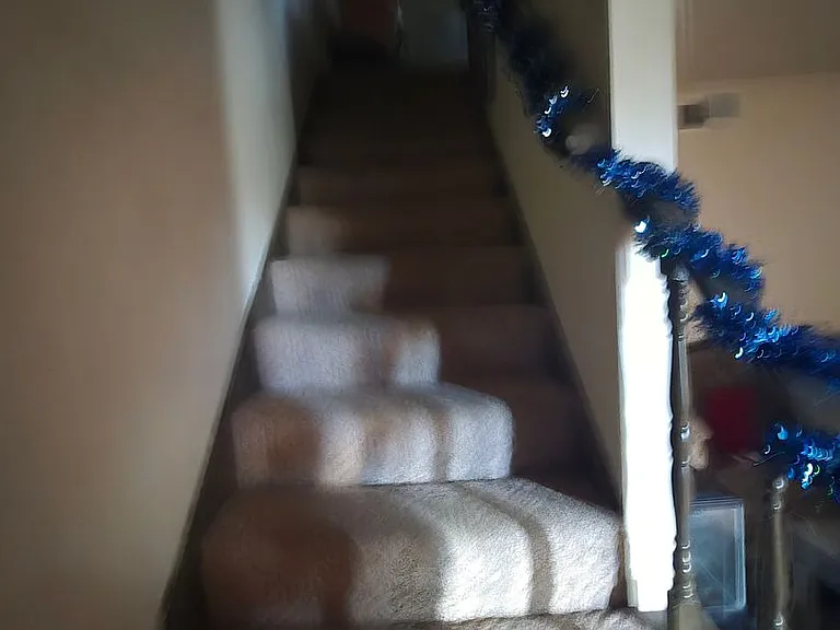 1565 Bryn Mawr Pl — Photo 24