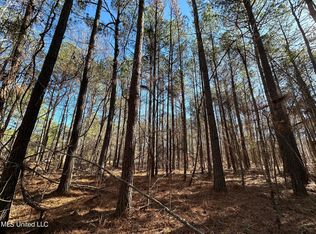 1 Levi Cooper Rd, Braxton, MS 39044