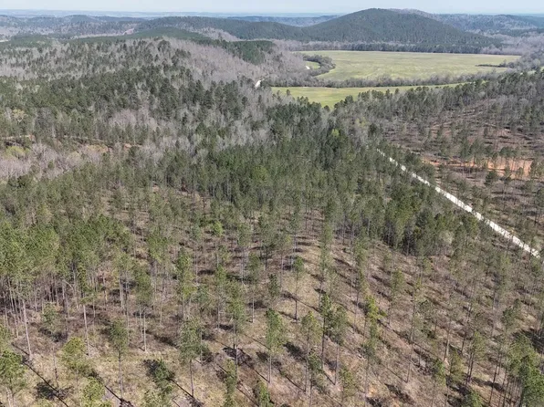 12 County Road 175, Piedmont, AL 36272