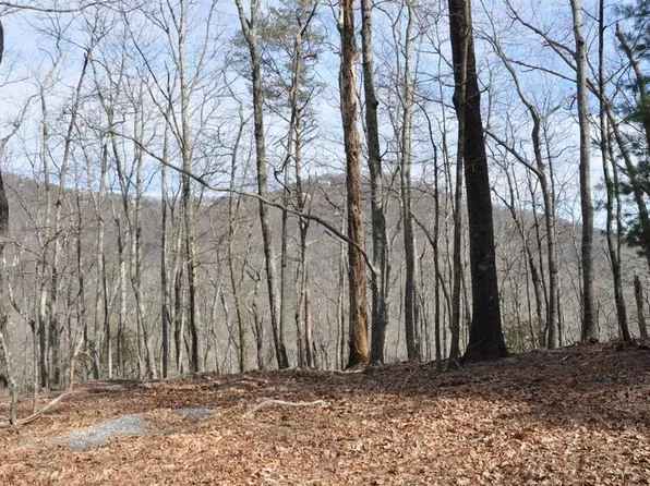 28 Petit Ridge Dr Lot 28, Jasper, GA 30143