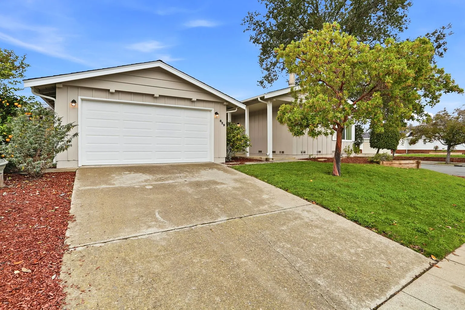 829 Rose Blossom Dr photo 1