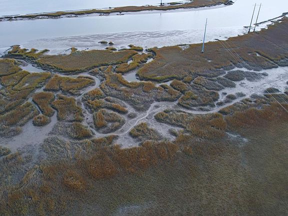 3rd image of 481 Paige Point Bluff
