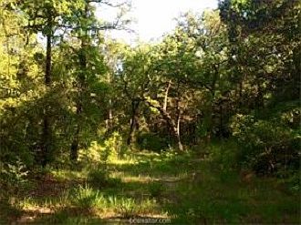 3rd image of 54.9 Acres Cr #332