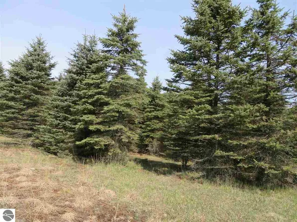 4 Spruce Hollow Trce, Fife Lake, MI 49633