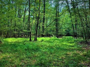 2553 Reservoir Hill Rd LOT WP001, Addison, NY 14801