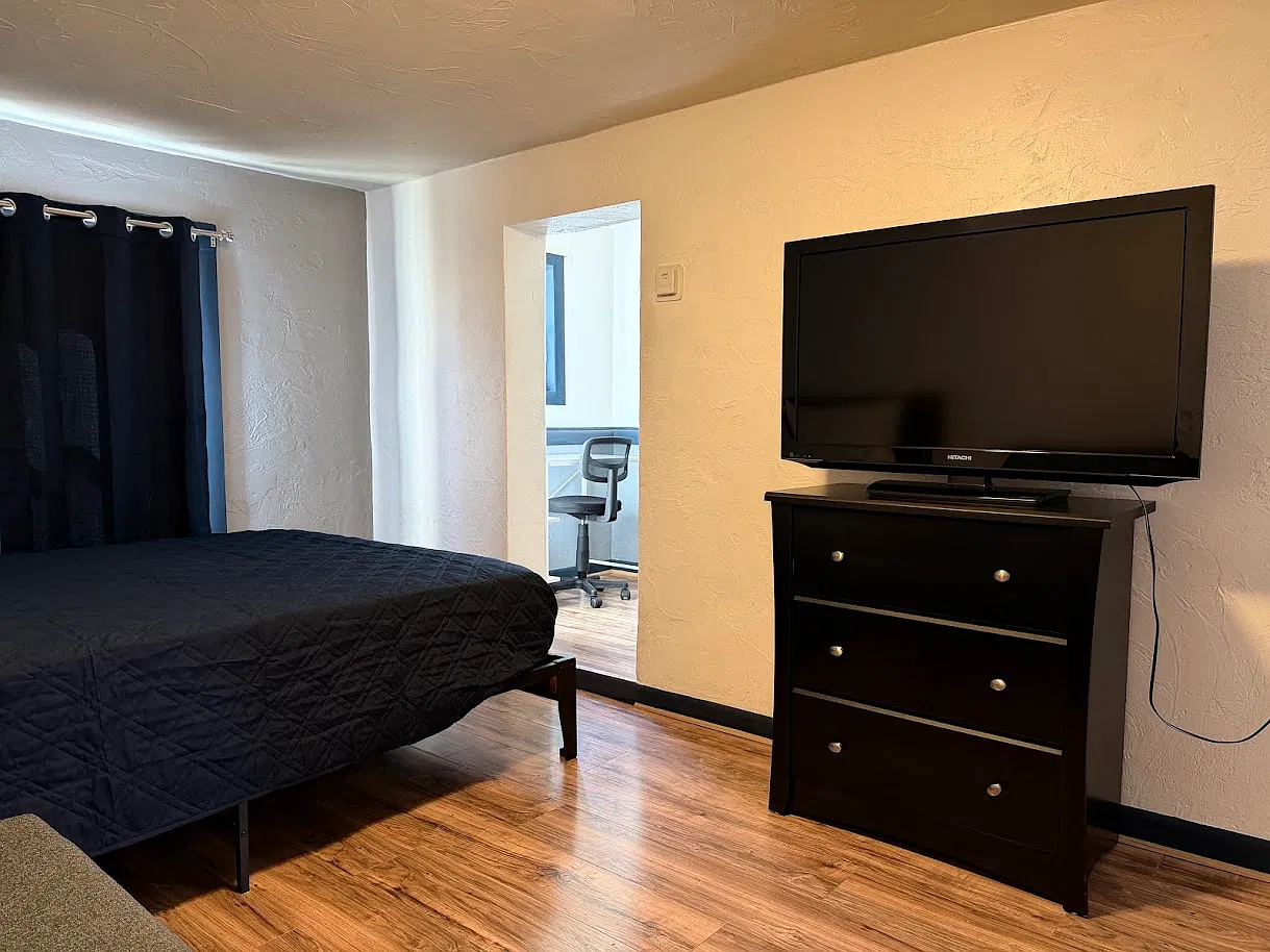 1 bed, 480 sqft, $1,450 — Photo 3