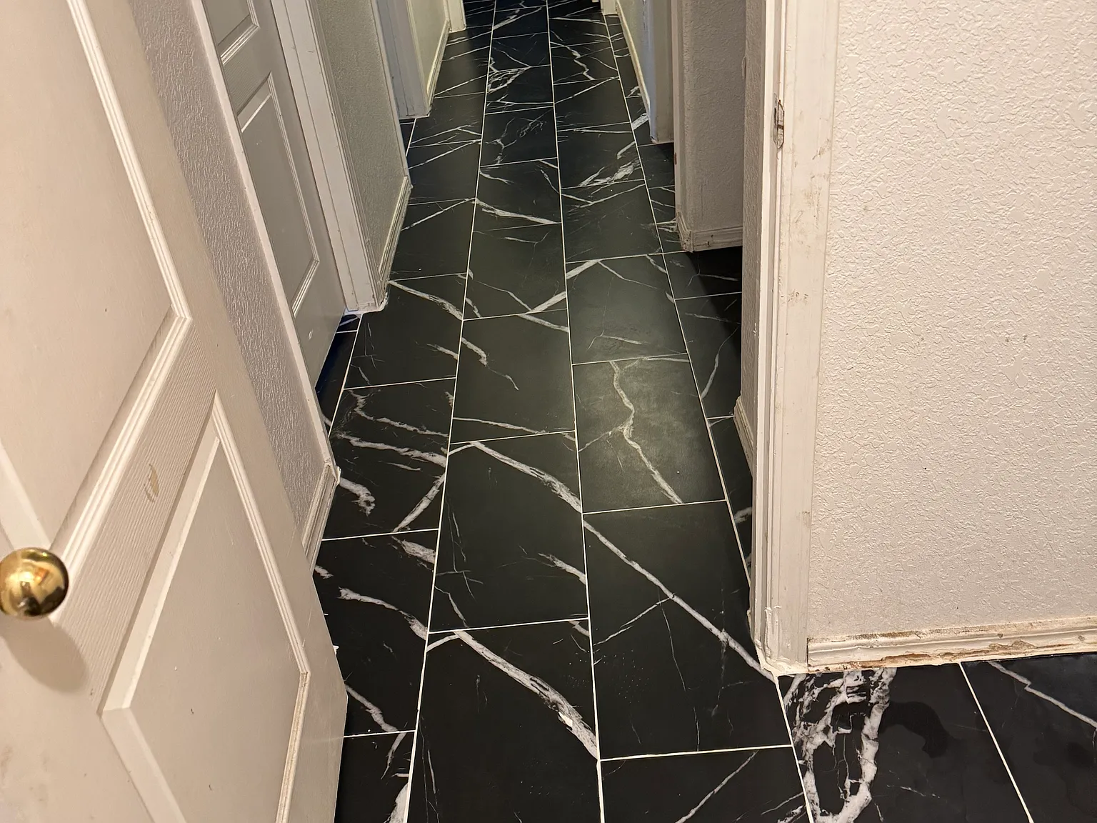 3900 Crosswind Way — Photo 4