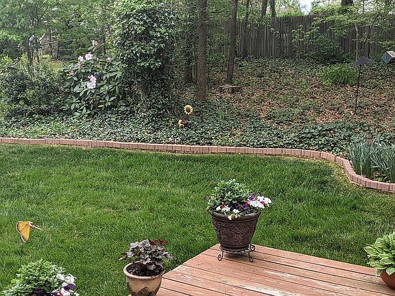 Backyard left side