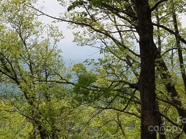 36/37 S Valley View Dr, Mars Hill, NC 28754