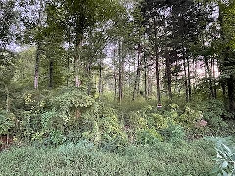 2nd image of Blockhouse Valley Rd