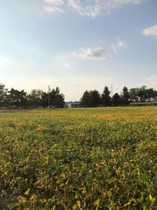 2910 Stringtown Rd SW, Sabina, OH, 45169