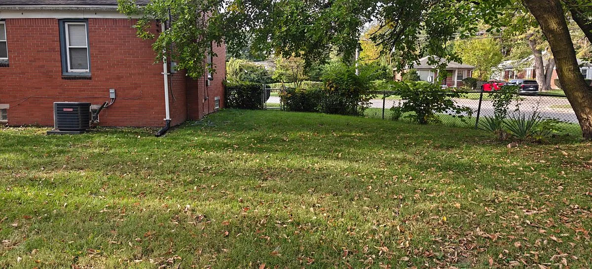 2 bed, 1.0 bath, 800 sqft, $1,250 — Photo 4