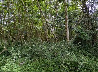 Hilo Rd LOT 711, Pahoa, HI 96778