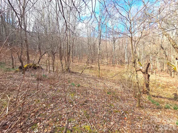 250 Rome Beauty Rd #Tr5, Waynesville, NC 28785