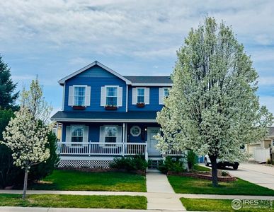 1429 Fairfield Ave, Windsor, CO, 80550