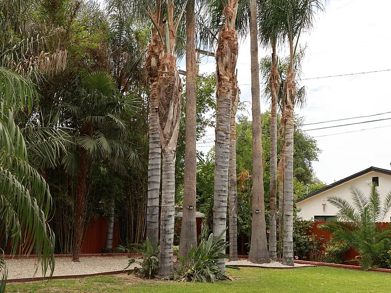 22131 Leadwell St — Photo 7