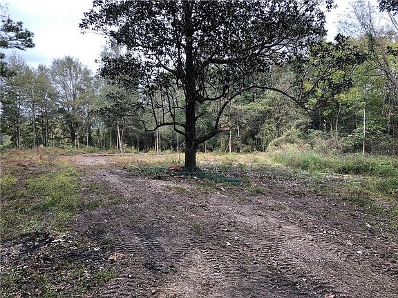 5th image of 16456 Keller Rd