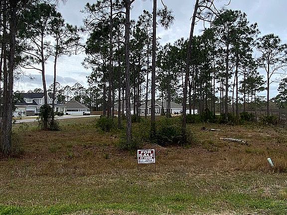 4th image of 0 Gulf Coast Cir