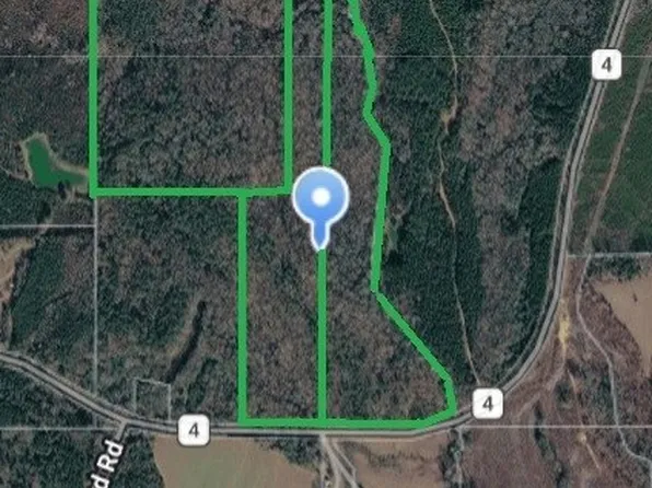 0 County Road 4, Greensboro, AL 36744
