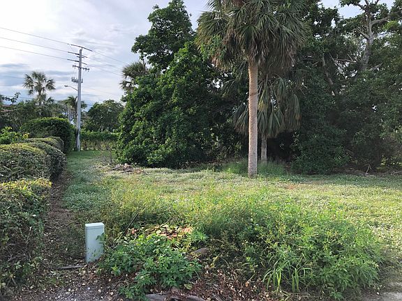 4th image of 12 Palm Ct