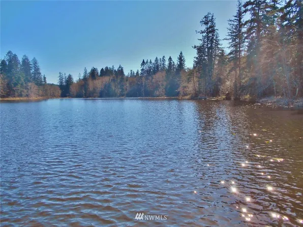 999 Rice Lake Road, Quilcene, WA 98376