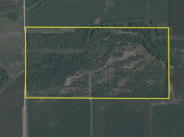 0 Oakford Rd, Chandlerville, IL 62627