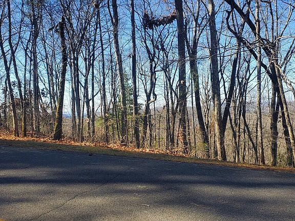 3rd image of LOT 171 Doll Mountain Rd