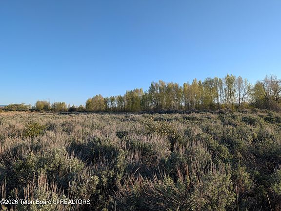 4th image of 9169 Timberline Loop