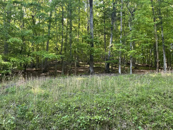 695 Rockview Dr Lot 695, Spring City, TN 37381