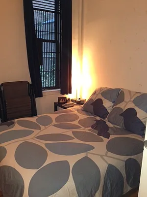 Rented by Manhattan Flats | media 32