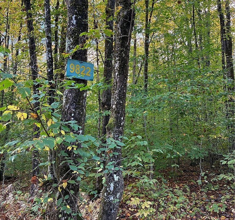 1st image of 9822 Culver Brook Rd