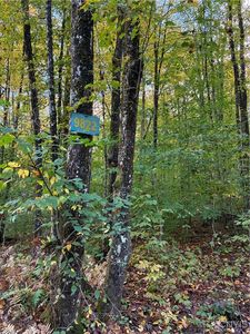 9822 Culver Brook Rd, Remsen, NY, 13438